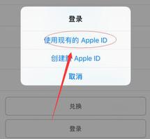 两台iPhone设备可以同时登录一个Apple ID吗？