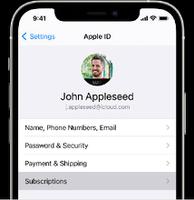在 iPhone 12 上无法登录 Apple ID 的解决办法