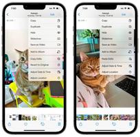 iOS 16照片应用如何复制粘贴编辑的内容？