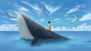 鲸鱼身上的藤壶有害吗