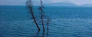 云南第二大淡水湖是什么湖