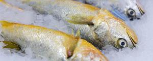 黄花鱼怎么保存在冰箱