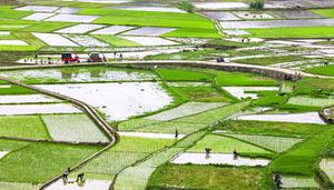 长江三角洲成为鱼米之乡的自然条件