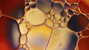 低芥酸是什么意思