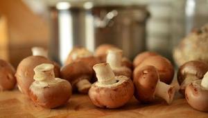香菇煮多久能熟
