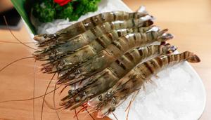 黑虎虾是属于淡水虾还是海水虾