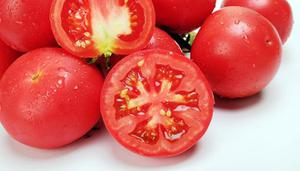 西红柿不可以放在冰箱里储存吗