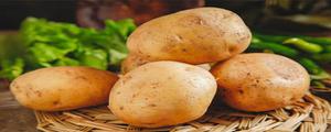 土豆属于哪一类蔬菜