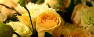 黄玫瑰花语是什么