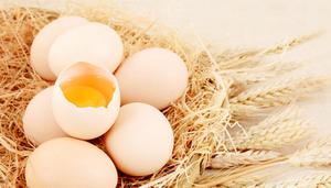 鸡蛋属于酸性还是碱性