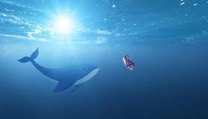 鲸鱼是群居动物吗