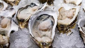 蛎蝗和生蚝的区别