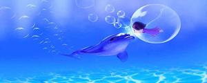 海豚的生活习性是什么