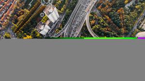 双招双引是什么意思