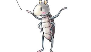 蟑螂是昆虫吗