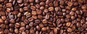 咖啡豆<span style='color:red;'>产地</span>