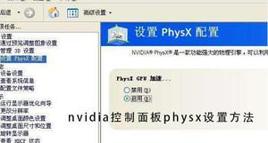 nvidia控制面板physx设置方法
