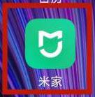米家app怎么看回放