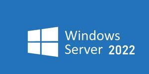 windows severe2022发布 可以使用十年需要更新