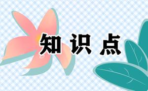 数学中考高分知识点100点以上