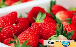 奶油草莓的营养成分以及作用