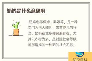 奶爸是什么意思