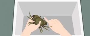 刚死的螃蟹能吃吗 蒸大闸蟹大概多长时间