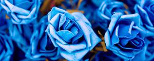 蓝色妖姬的花朵语是什么意思 蓝色妖姬是上色还是自然