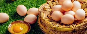 鸡蛋保质期是多少天