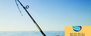 钓甲鱼用多久的针 钓甲鱼针的长短多少钱