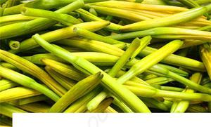 金针菜的功效与作用 黄花菜的不良反应