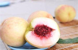 桃子的作用与功效忌讳(油桃和桃子哪一个营养成分更高一些)