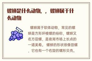 螺蛳是什么动物，，螺蛳属于什么动物