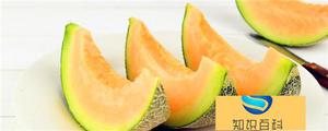 哈蜜瓜是哪个季节的水果，吃哈密瓜会上火吗