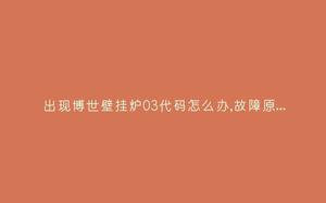 出现博世壁挂炉03代码怎么办,故障原因说明与3种解决方法