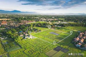 流转土地国家每亩地补贴多少钱？种粮大户100亩以上补贴标准