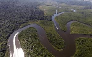 巴西境内亚马逊河多处河段降至最低水位，这是什么情况？