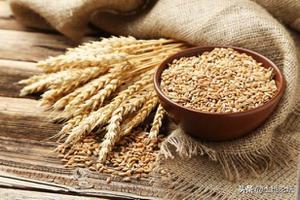 2022年小麦保护价是多少钱一斤？粮食价格大涨会有哪些影响？