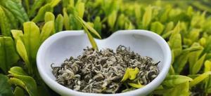 贵州名茶有哪些品种比较好喝（贵州最好喝的名茶推荐）