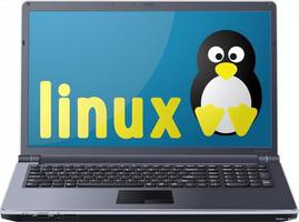 目前Linux系统搭建网站有什么优点呢？网站开发人员揭秘