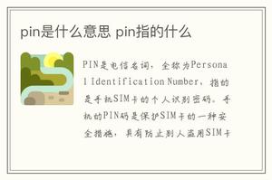 pin是什么意思 pin指的什么