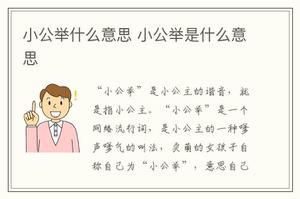 小公举什么意思 小公举是什么意思