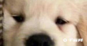 全都非常难看是什么梗