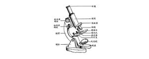  显微镜各部分结构的作用