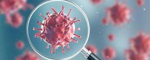 什么是新型冠状病毒