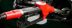 <span style='color:red;'>98号汽油适用于什么车</span>