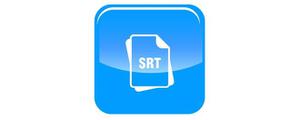 .srt是什么文件