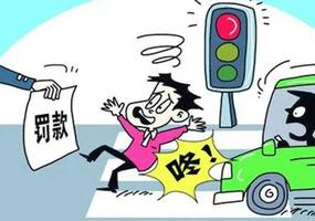 机动车违反禁令标志指示的意思是什么