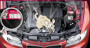 防止老鼠进发动机最有效的方法