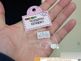 教你用花6元钱将iPad mini/iPad mini2一秒变iPad mini3